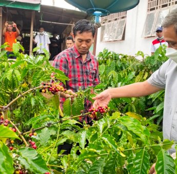 Bupati Wajo Terima Lencana Adhi Bakti Tani Nelayan