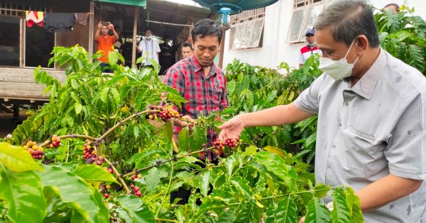 Bupati Wajo Terima Lencana Adhi Bakti Tani Nelayan