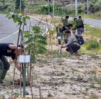 5.000 Pohon Hijaukan Bandara Buntu Kunik Tana Toraja