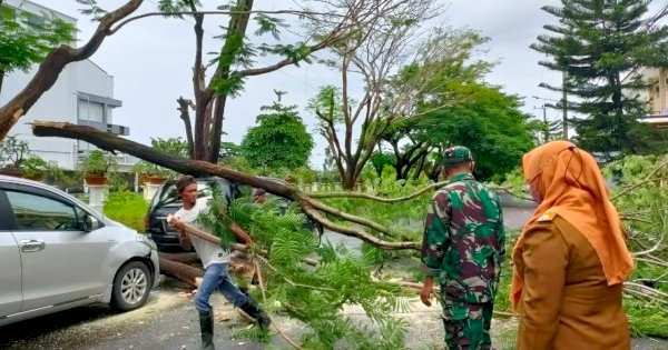 Delapan Pohon Tumbang di Makassar Akibat Cuaca Buruk