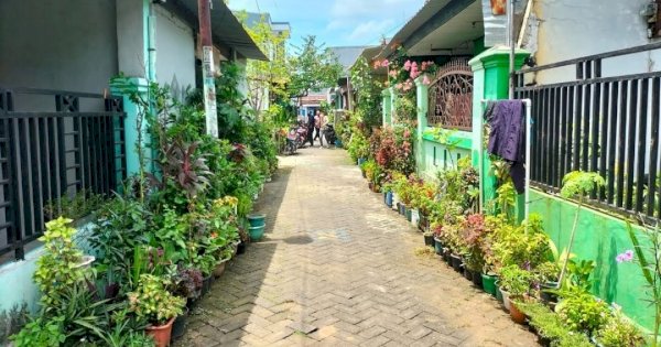 485 Lorong di Makassar Penuhi Syarat Lorong Wisata Garden DKP