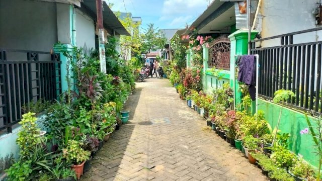 485 Lorong di Makassar Penuhi Syarat Lorong Wisata Garden DKP