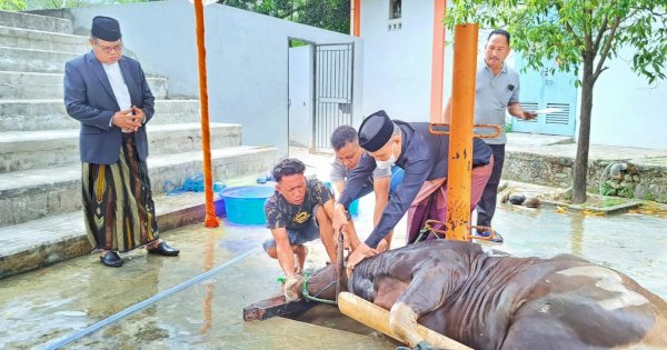 Civitas Akademika UNM Salat IdulAdha 1443 Hijriah di Pelataran Menara Phinisi, Sembelih 56 Ekor Sapi