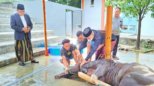 Civitas Akademika UNM Salat IdulAdha 1443 Hijriah di Pelataran Menara Phinisi, Sembelih 56 Ekor Sapi