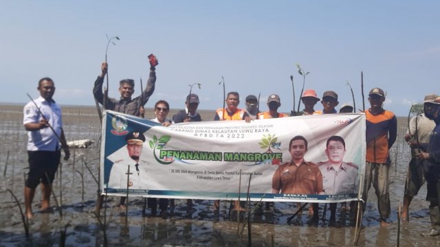 Dinas Kelautan dan Perikanan Sulsel Tanam 38 Ribu Batang Mangrove di Luwu Timur