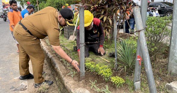 Pastikan Rapi, Andi Pangerang Turun Langsung Tata Tanaman