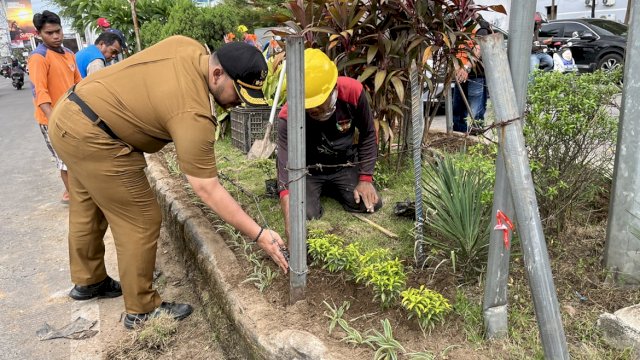 Pastikan Rapi, Andi Pangerang Turun Langsung Tata Tanaman