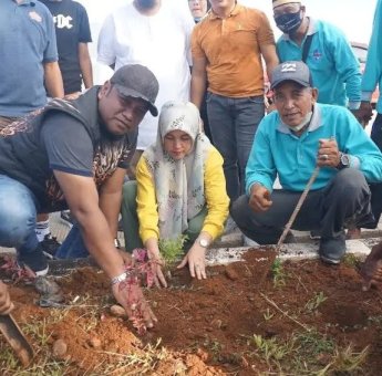 Kecamatan Tamalate Peduli Taman dan Median Jalan