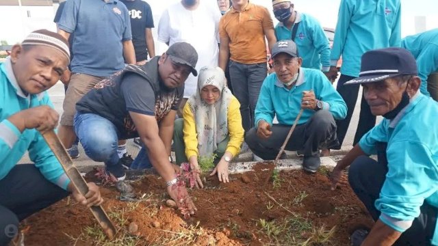 Kecamatan Tamalate Peduli Taman dan Median Jalan