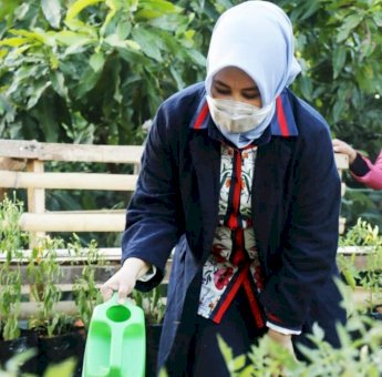 Wawali Makassar Sumbang Bibit Cabai di Longwis Castelon Kecamatan Bontoala
