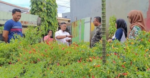 DKP Makassar Pantau Pengembangan Lorong Wisata di Lima Kecamatan