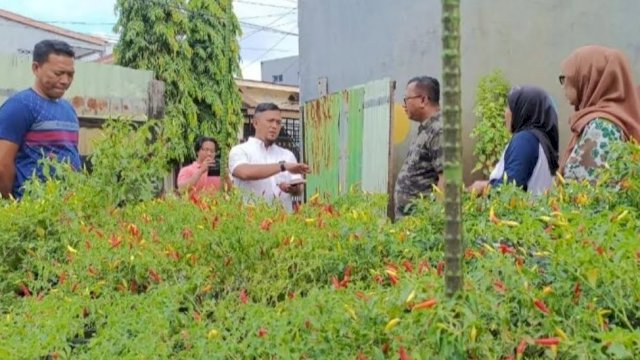 DKP Makassar Pantau Pengembangan Lorong Wisata di Lima Kecamatan