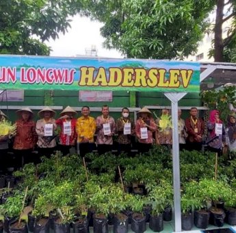 Kepala DKP Makassar Dampingi Peserta Rakernis APEKSI 2022 Kunjungi Lorong Wisata Haderslev