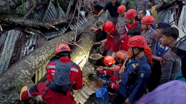 Bocah Delapan Tahun di Makassar Tewas Usai Tertimpa Pohon Tumbang