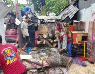 Cuaca Buruk di Makassar, 183 Rumah Rusak Akibat Angin Kencang dan Pohon Tumbang