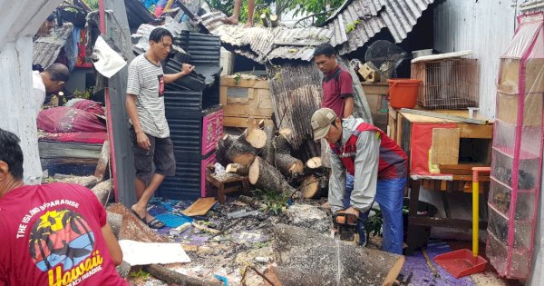 Cuaca Buruk di Makassar, 183 Rumah Rusak Akibat Angin Kencang dan Pohon Tumbang