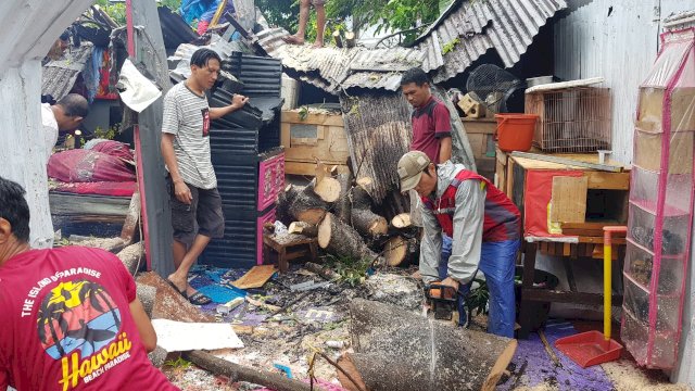 Cuaca Buruk di Makassar, 183 Rumah Rusak Akibat Angin Kencang dan Pohon Tumbang