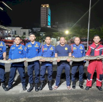 Satwa Liar Marak Masuk ke Pemukiman Warga, Damkar Makassar Imbau Jaga Kebersihan Lingkungan