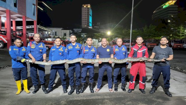 Damkar Makassar evaluasi ular piton sepanjang 5 meter di Jalan Urip Sumohardjo Kelurahan Karuwisi Utara Panakukang, 10 Januari 2023, lalu.
