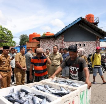 Jelang Kedatangan Presiden Jokowi, Danny Pomanto Tinjau Kondisi Pelabuhan Paotere dan Pasar Terong