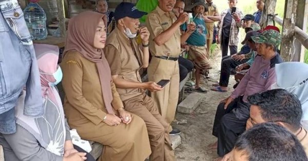 Gerak Cepat, DP2 Makassar Respon Laporan Warga yang Terdampak Serangan Hama Ancam 10 Hektar Sawah
