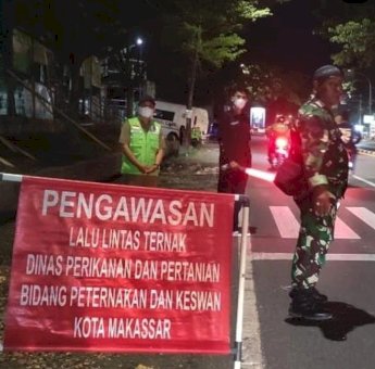 Lalu Lintas Hewan Ternak Dibuka, Pemkot Makassar Perketat Pemeriksaan Jelang Idul Adha 1444 Hijriah