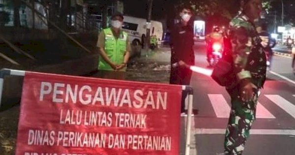 Lalu Lintas Hewan Ternak Dibuka, Pemkot Makassar Perketat Pemeriksaan Jelang Idul Adha 1444 Hijriah
