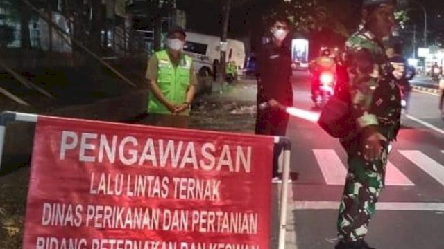 Lalu Lintas Hewan Ternak Dibuka, Pemkot Makassar Perketat Pemeriksaan Jelang Idul Adha 1444 Hijriah