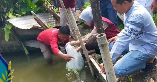 DP2 Makassar Serahkan Bantuan Pakan Ikan Nila dan Lele ke Pokdakan di Kecamatan Rappocini