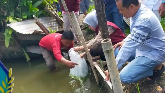 DP2 Makassar Serahkan Bantuan Pakan Ikan Nila dan Lele ke Pokdakan di Kecamatan Rappocini