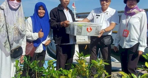 DP2 Makassar Serahkan Bantuan Tanaman Hias di Pulau Sangkarrang