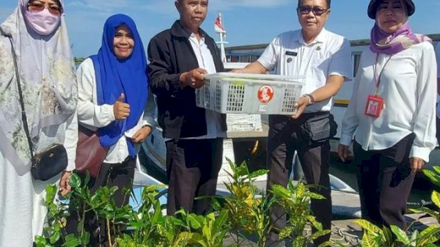 DP2 Makassar Serahkan Bantuan Tanaman Hias di Pulau Sangkarrang