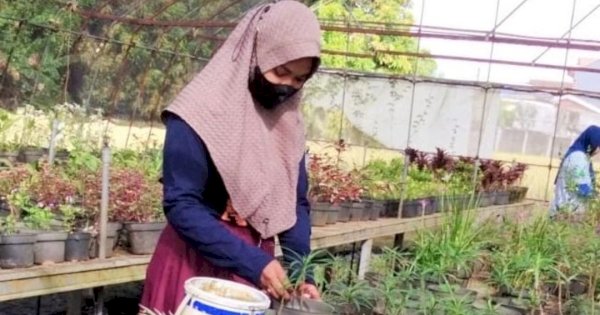 Dukung Program Pemkot, UPT Pembibitan Tanaman DP2 Makassar Lakukan Hal Ini