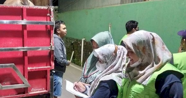 DP2 Makassar Turunkan Tim Awasi Lalu Lintas Hewan Ternak di Wilayah Perbatasan