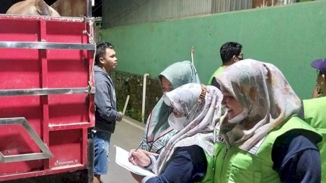 DP2 Makassar Turunkan Tim Awasi Lalu Lintas Hewan Ternak di Wilayah Perbatasan