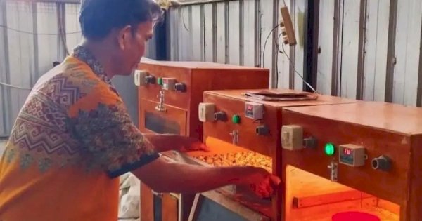 DP2 Makassar Demplot Puyuh di BPP Sudiang