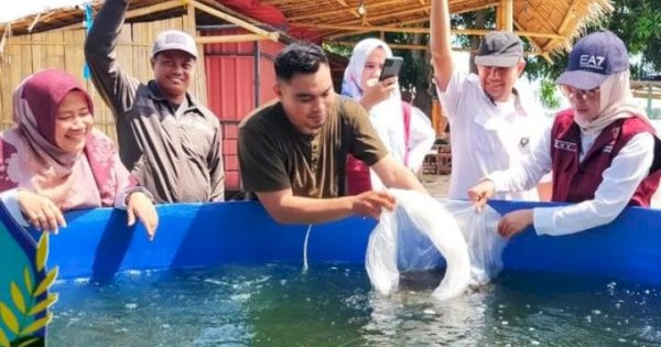 DP2 Makassar Serahkan Bantuan Sarana Produksi Budidaya Perikanan ke Pokdakan