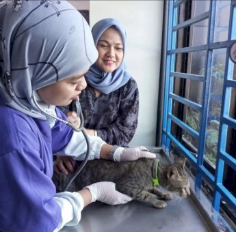 Selama Mei, Pengunjung di UPTD Puskeswan DP2 Capai 258 Pasien Hewan