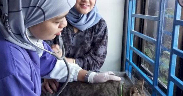 Selama Mei, Pengunjung di UPTD Puskeswan DP2 Capai 258 Pasien Hewan