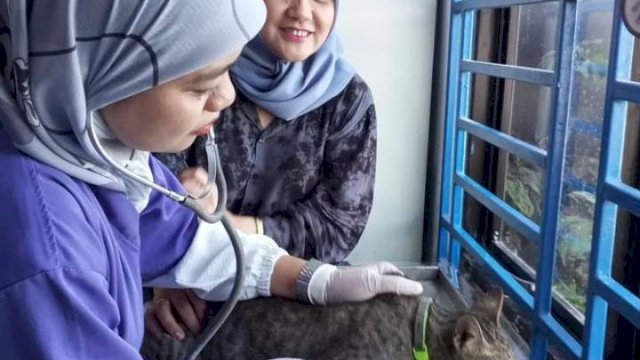 Selama Mei, Pengunjung di UPTD Puskeswan DP2 Capai 258 Pasien Hewan