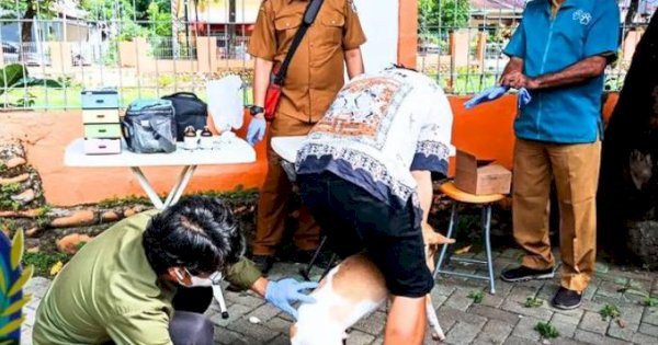 DP2 Makassar Lakukan Vaksinasi Rabies di Tamalanrea