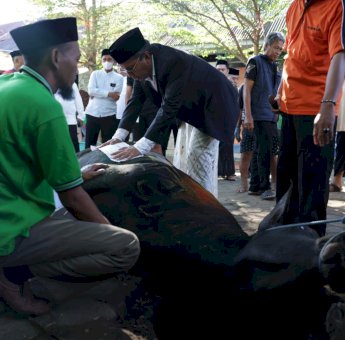 Idul Adha 1444 Hijriah, Danny Pomanto Kurban Dua Ekor Sapi