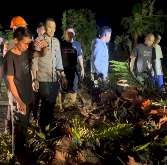 Pohon Tumbang Macetkan Jalan Poros Bone-Sinjai, Tim SAR Brimob Bone Langsung Beraksi