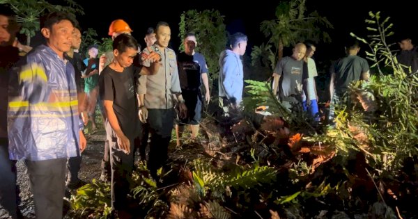 Pohon Tumbang Macetkan Jalan Poros Bone-Sinjai, Tim SAR Brimob Bone Langsung Beraksi