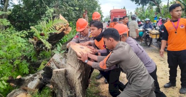 Kesigapan SAR Brimob Bone, Bantu Warga Atasi Pohon Tumbang Bahayakan Pengguna Jalan