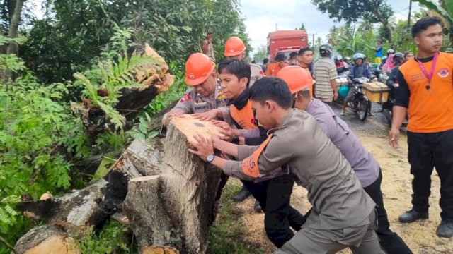 Kesigapan SAR Brimob Bone, Bantu Warga Atasi Pohon Tumbang Bahayakan Pengguna Jalan