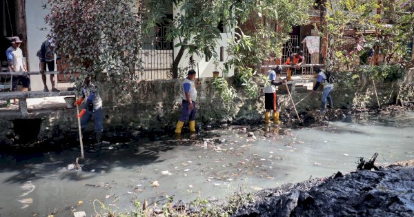 Antisipasi Banjir, Satgas Drainase Dinas PU Keruk Sedimen Hingga Bersihkan Eceng Gondong di Kanal Buloa