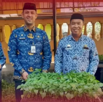 Bibit Cabai Problem Solving Atasi Inflasi di Kecamatan Bontoala