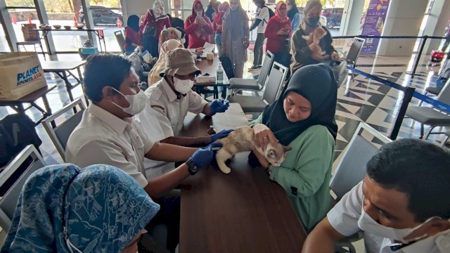 Cegah Penularan Sejak Dini, DP2 Gelar Vaksinasi Hewan Rabies
