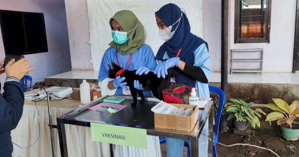 Ramaikan World Rabies Day, Hewan Peliharaan Dapat Vaksin Gratis